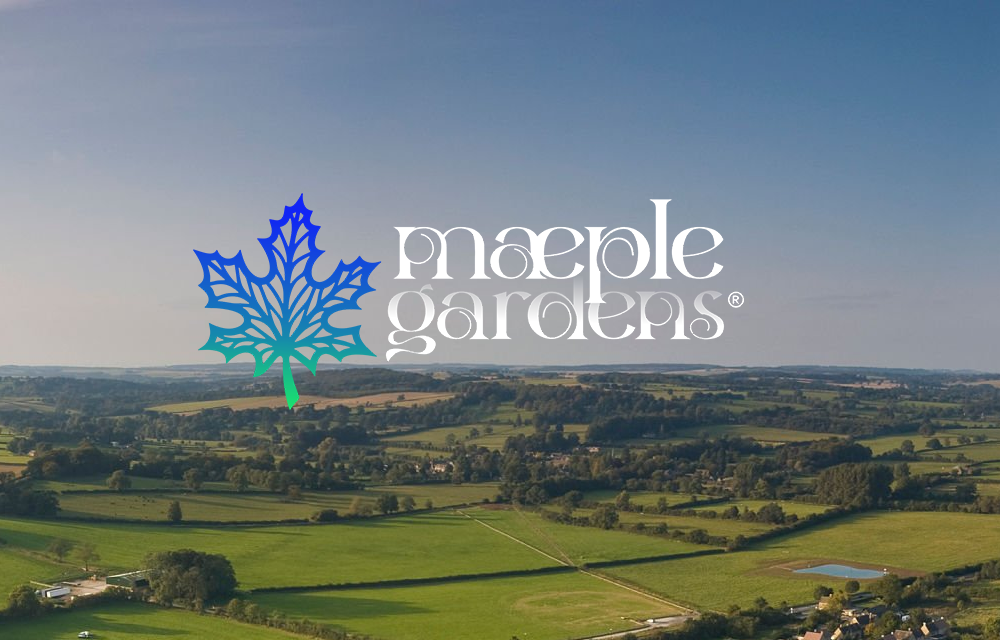 Mæple Gardens