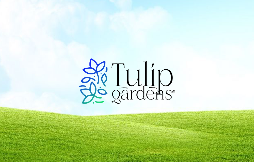 Tulip Gardens